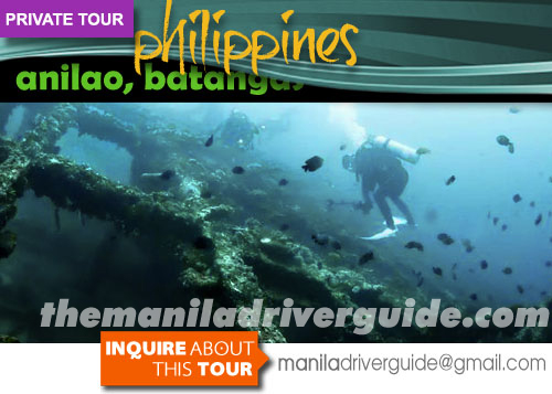 private tour: anilao dive tour